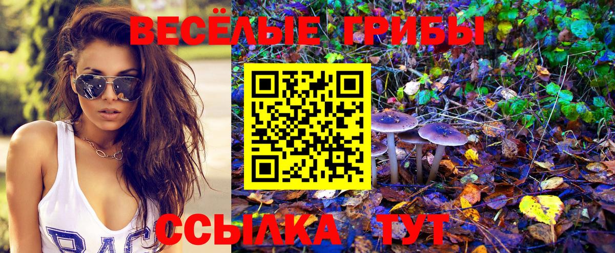 Псилоцибиновые грибы MAGIC MUSHROOMS Луховицы
