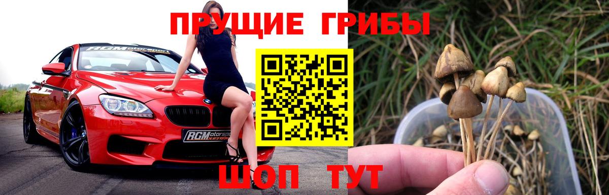 Луховицы  Псилоцибиновые грибы Cubensis  Вход с VPN 